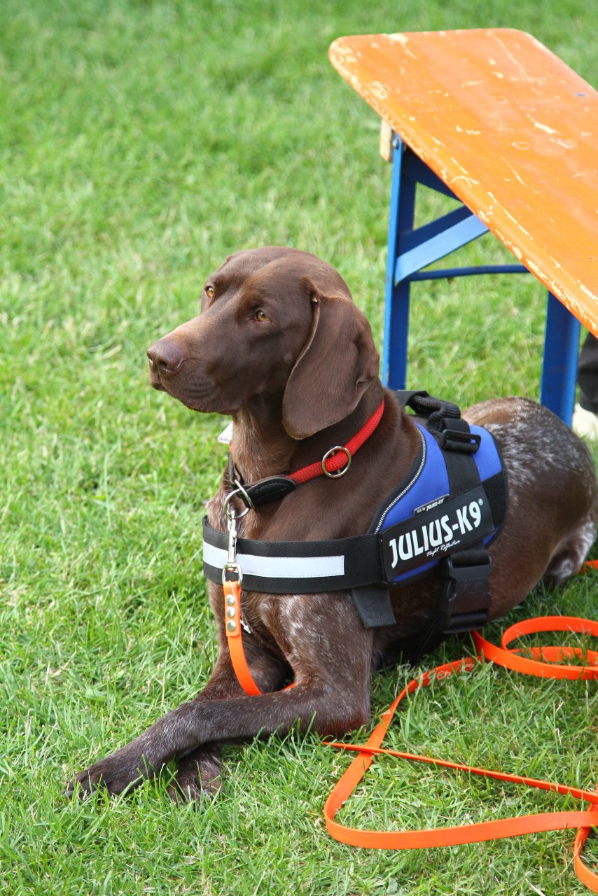 Bild 272 - Public Viewing